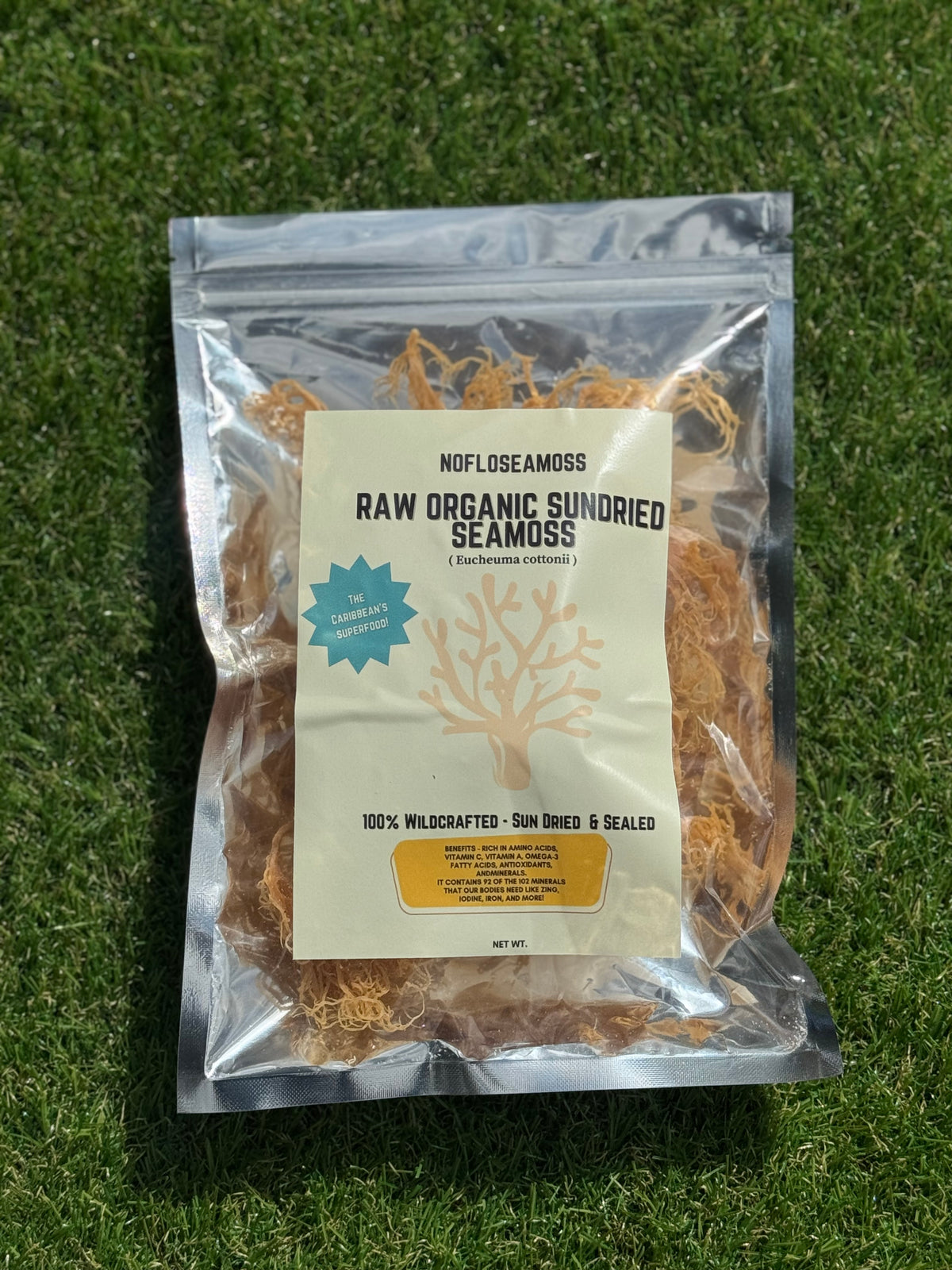Golden Wildcrafted Sea moss