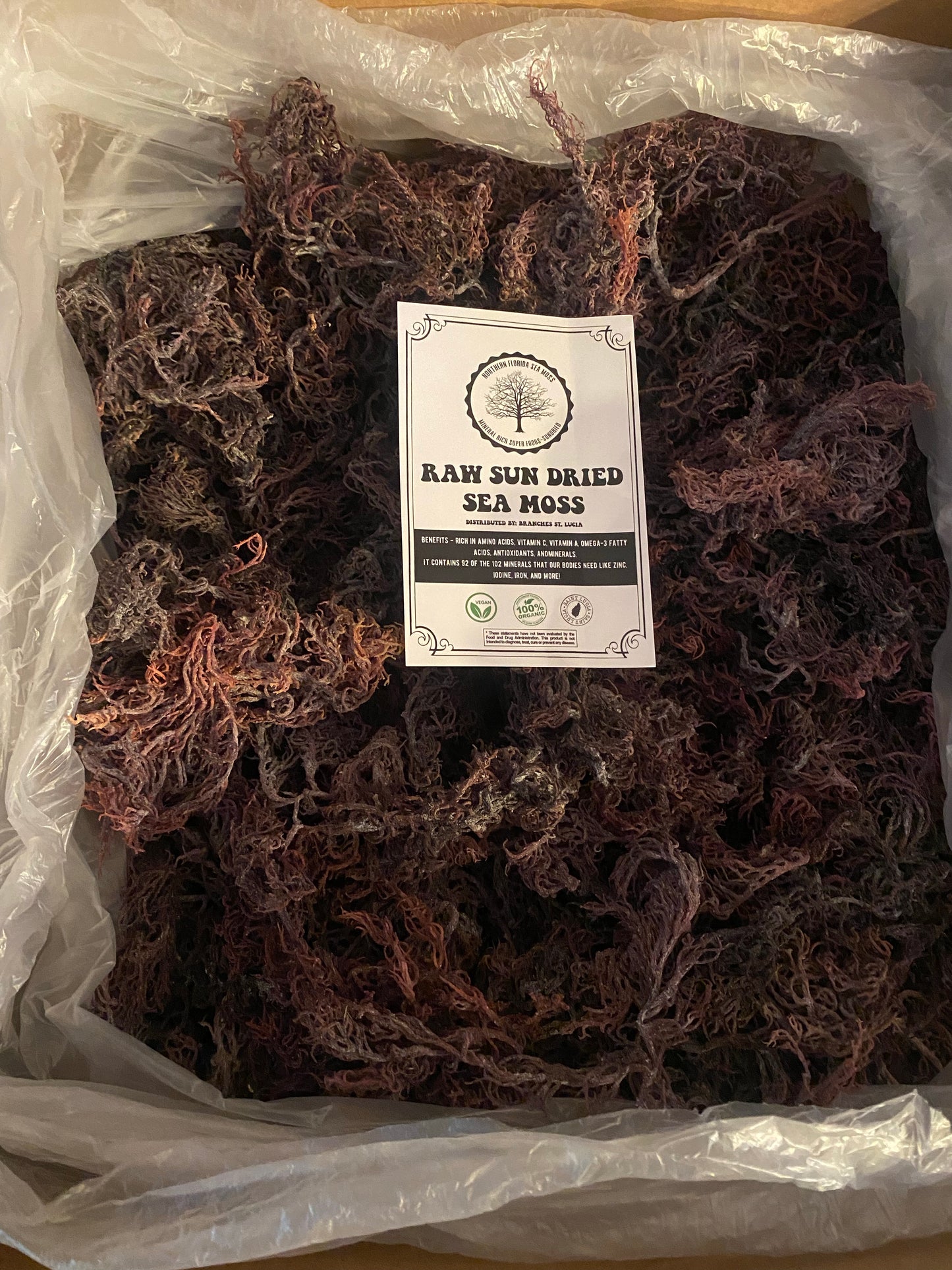 Purple Sea Moss